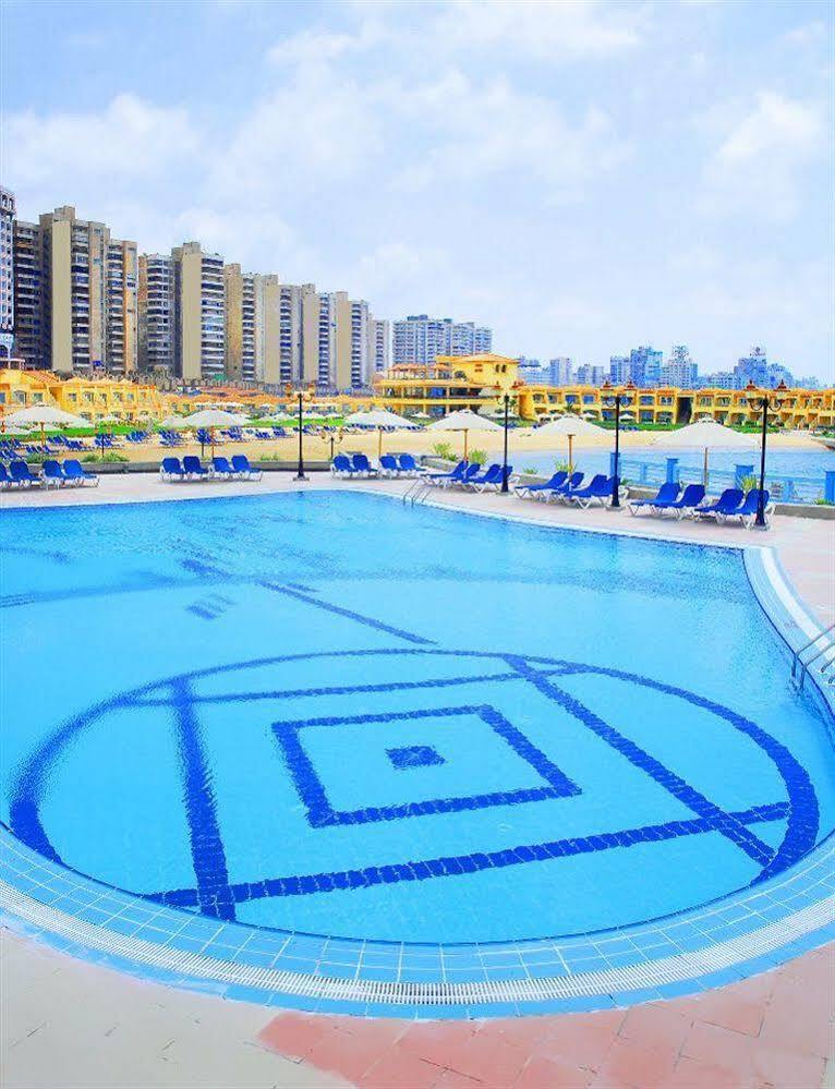 Sunrise Alex Avenue Hotel Alexandria Exterior photo The image shows a swimming pool with clear blue water, featuring a geometric pattern at the bottom. Surrounding the pool are several blue lounge chairs arranged neatly. In the background, there are tall buildings, likely part of a resort or residenti